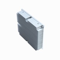 AL6061 AL6063 Extrusion Parts